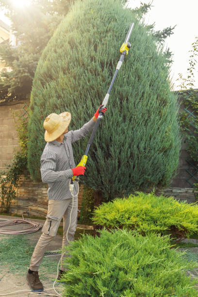 Best Landscape Design and Installation  in Bargaintown, NJ